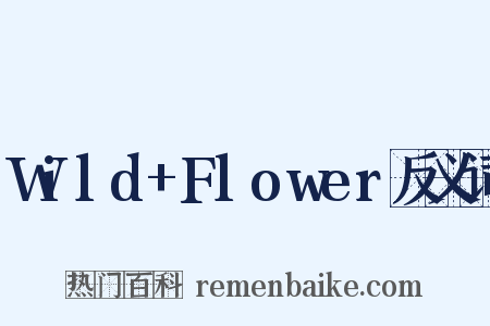 Wild+Flower反义词是什么意思的图片